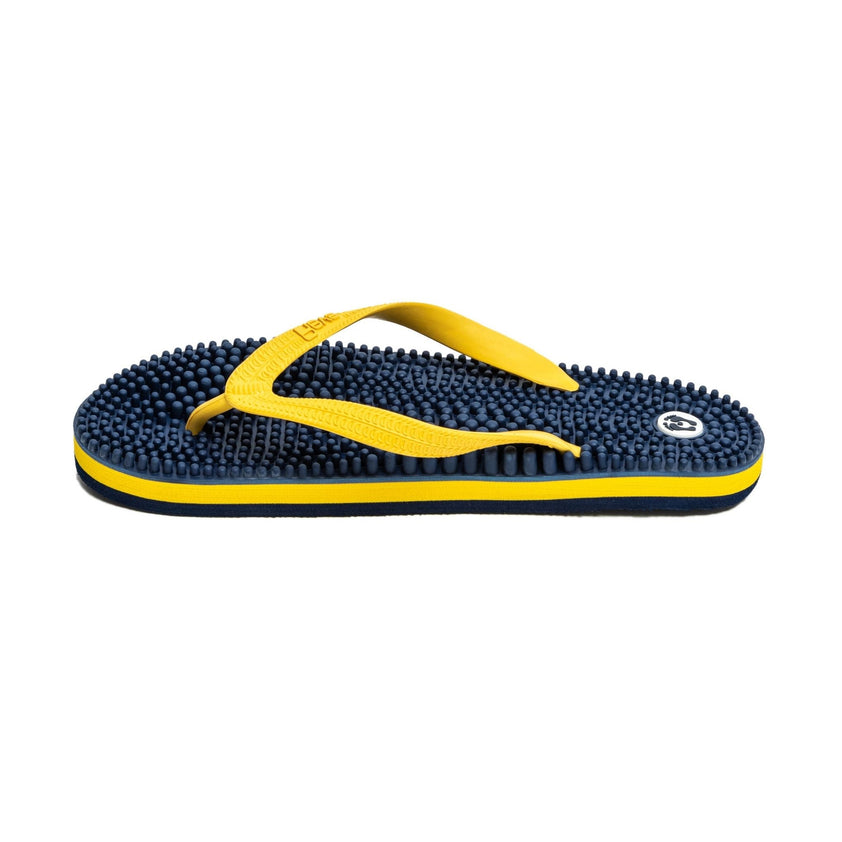 Navy & Yellow