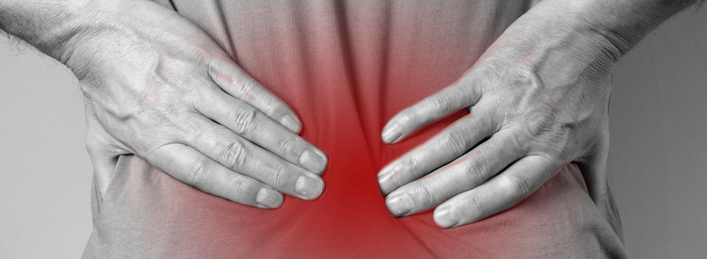 LOWER BACK PAIN
